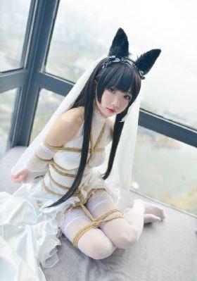美人在线观看_4K全集免费观看